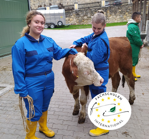 ERASMUS+ © LFS Kirchberg am Walde