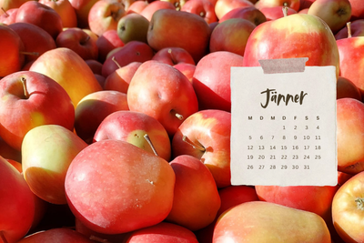 Kalender © FS Silberberg Kalender © FS Silberberg