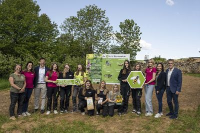 BeeWild Initiative © BeeWild BeeWild Initiative © BeeWild