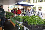 Pflanzentauschmarkt © FS Schloss Stein