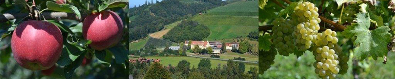 Bildungszentrum für Obst- und Weinbau Silberberg
© FS Silberberg Bildungszentrum für Obst- und Weinbau Silberberg
© FS Silberberg